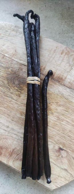 Gousses de Vanille hybride de Madagascar (22 à 25cm) - 1 pièce