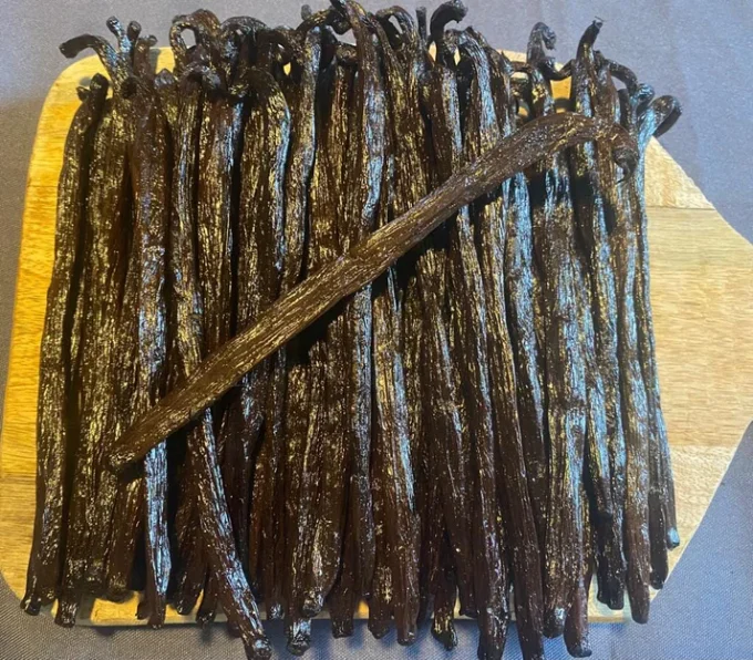 Vanille Bourbon Extra Large de Madagascar (17-18 cm) - Gourmet noire non fendue